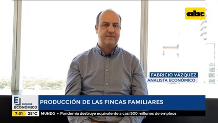 Enfoque Económico: Producción de las fincas familiares