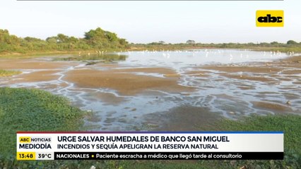Urge salvar humedales del banco San Miguel