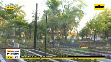 Inauguran vivero municipal en el Parque Caballero