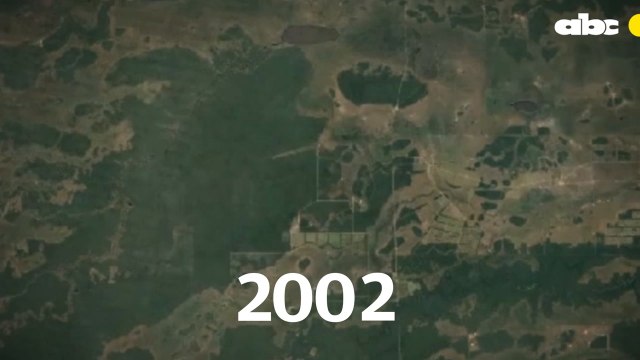 Fincas Ganaderas Arrasan Con Territorio De Indígenas En Alto Paraguay