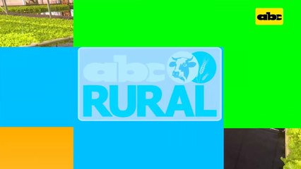 Abc Rural: Hortalizas hidropónicas en sistema floating (I)