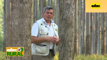 Abc Rural: tratamiento de semillas e inoculantes