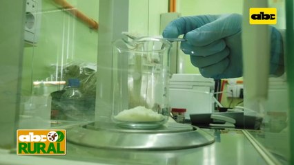 Abc Rural: Control Union, certificadora para exportación (I)