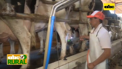 Abc Rural: Cepillo automático para limpieza de pezones y sus resultados (II)