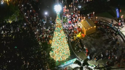 Cientos de asistentes en el gran encendido del árbol de Navidad en el Parque Omar