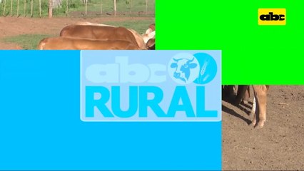 Abc Rural: Cuenta regresiva para el 28 Congreso Ganadero del CEA