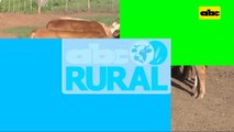 Abc Rural: Cuenta regresiva para el 28 Congreso Ganadero del CEA