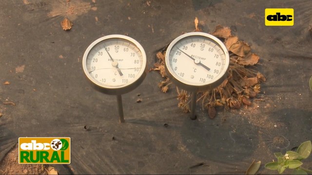 Abc Rural: Diferencia de temperatura entre mulching negro y blanco (I)