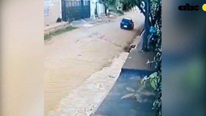 Autoridades buscan al que sería el responsable de dejar amarrado a un perro ayer en Fernando de la Mora.