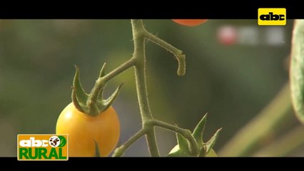 Abc Rural: Noticias internacionales