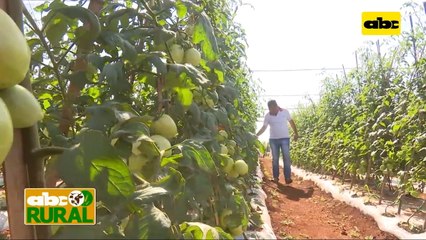 Abc Rural: Funcionario de Banco se viste de emprendedor e incursiona en horticultura