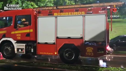 Árvore cai sobre carro após forte chuva no Plano Piloto