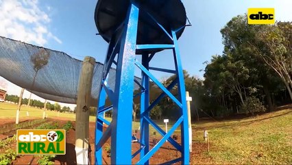 Abc Rural: Sistema de riego localizado por estaca