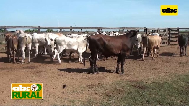 Abc Rural: Informaciones rurales