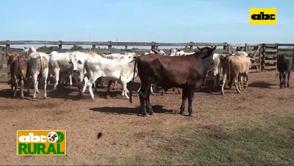 Abc Rural: Informaciones rurales