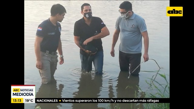 Hallan armas que serían de Papo Morales