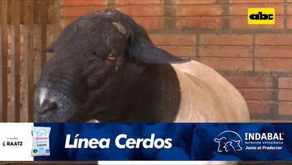 Abc Rural te recomienda