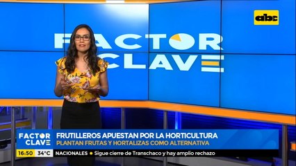 Frutilleros plantan otras frutas y hortalizas como alternativa