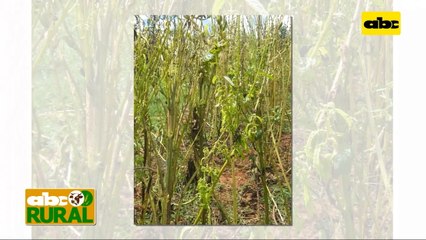 Abc Rural te recomienda