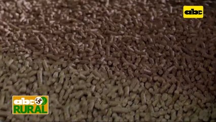 Abc Rural: Planta de producción de balanceados de Industrias Trociuk