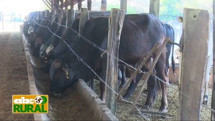 Abc Rural: Producción de ganado en confinamiento en forma sostenible