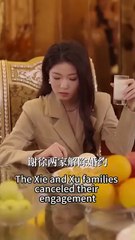 Reborn, she spoiled and loved the man who once died for her - Chinese Drama