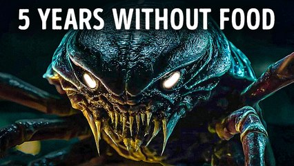 Strangest Deep Sea Giants That Make the Ocean Truly Scary