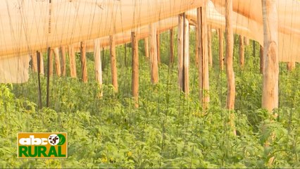 Abc Rural: Control de PH y conductividad eléctrica en el suelo, en horticultura