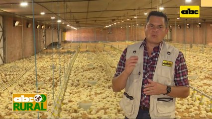 Abc Rural: Una historia de vida con la producción de mamón