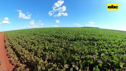 ABC Rural: Implementación integral de buenas prácticas agrícolas en Katueté - Primera parte