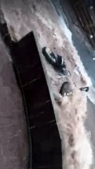 Raudal se lleva varias motocicletas.