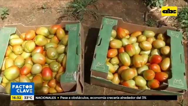 Productores preocupados por contrabando