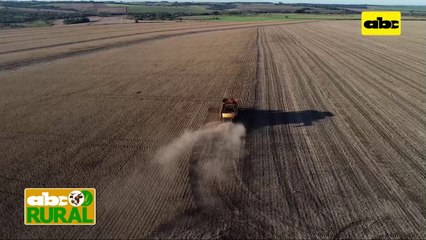 ABC Rural: Preocupación ante ataque de sectores políticos al Agro