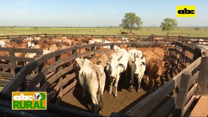 ABC Rural: Paraguay como emisor de gases de efecto invernadero