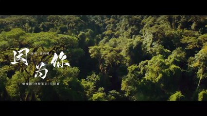 【Joseph Zeng 曾舜晞】 因为你 Because of You