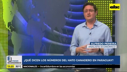 Enfoque Económico: ¿Qué dicen los números del hato ganadero en Paraguay?