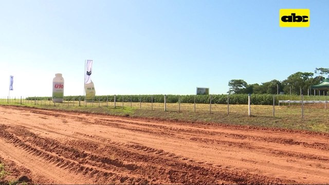 ABC Rural: Jornada de campo de soja de la Cooperativa Friesland