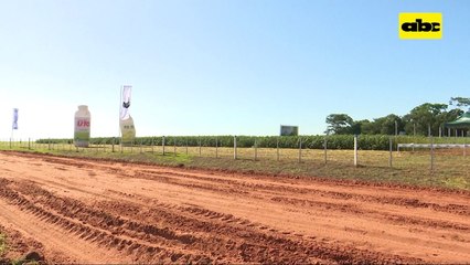 ABC Rural: Jornada de campo de soja de la Cooperativa Friesland