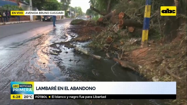 Aguas servidas, árboles caídos y veredas inexistentes en Lambaré