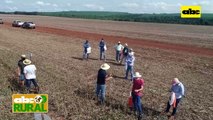 ABC Rural: Agrotec como obtentor en jornada de campo de Copronar