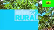 ABC Rural: Cultivo y manejo agronómico del mamón con riego