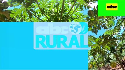 ABC Rural: Cultivo y manejo agronómico del mamón con riego