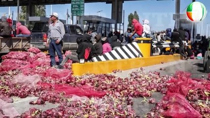 Bloqueos por Ley de Aguas | Musk: IA salvará a EU | Sri Lanka: 390 muertos por ciclón