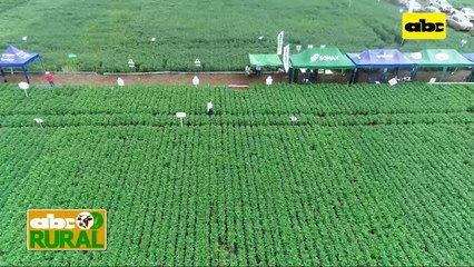 ABC Rural: Agrotec mostró sus variedades