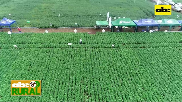 ABC Rural: Agrotec mostró sus variedades