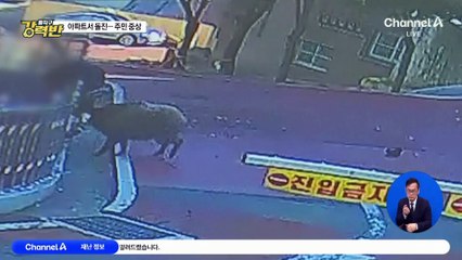 멧돼지의 아파트 습격…80대 주민 중상