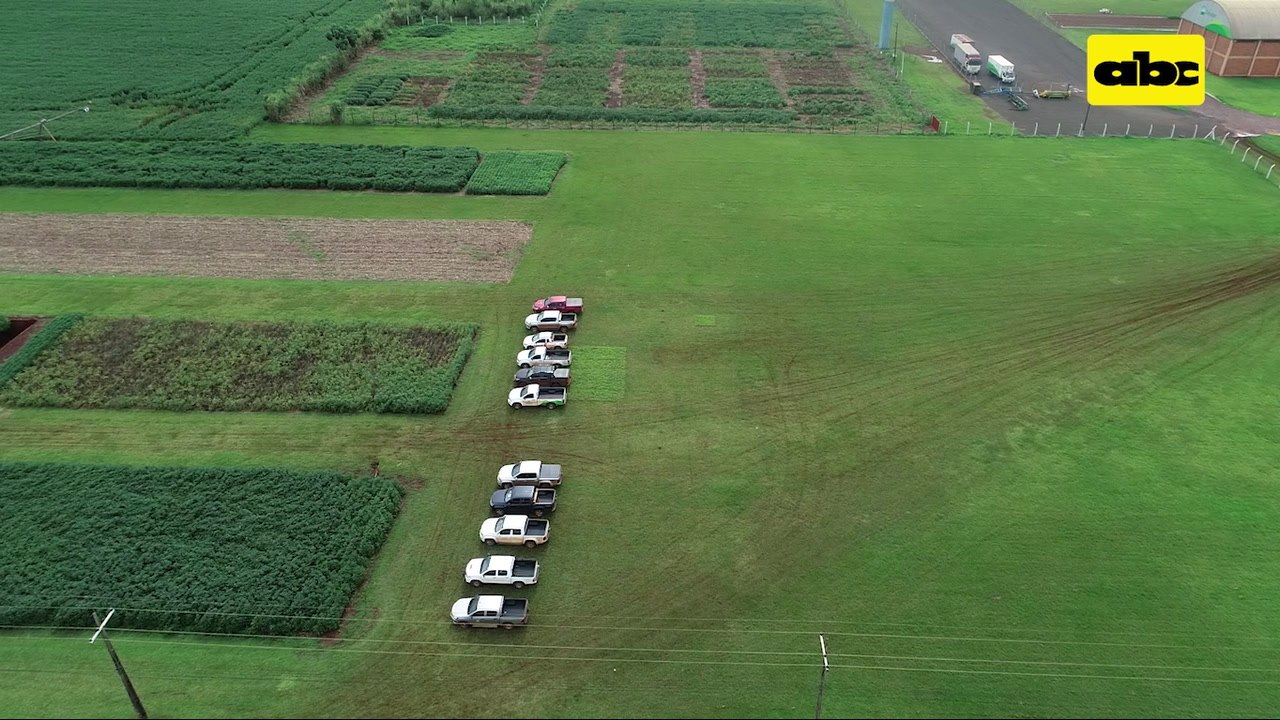 ABC Rural: BAUP presentó soja resistente a sequía