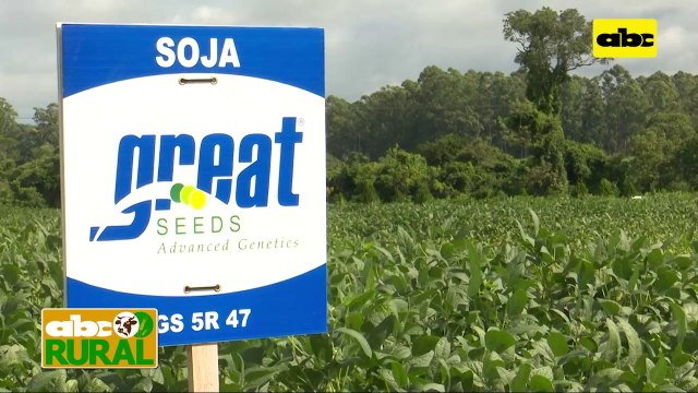 ABC Rural: Importancia de horas luz para el desarrollo de la soja