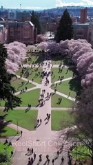 Wait — It Was Always Me  Reel