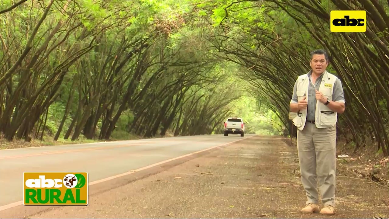 ABC Rural: Balanceado Pasto Guasu ayudó a salvar animales
